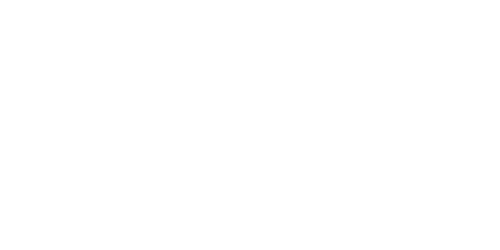 Nebrosa Logo